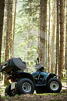 ATV's parked in the parking lot in the forest. good weather.