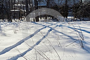 ATV traces in the snow