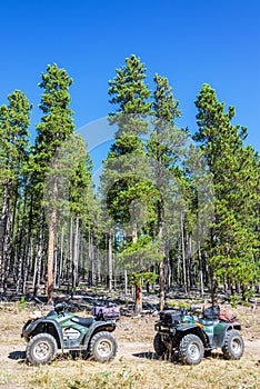 ATVs in a Forest