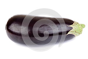 Aubergine