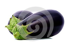 aubergine photo