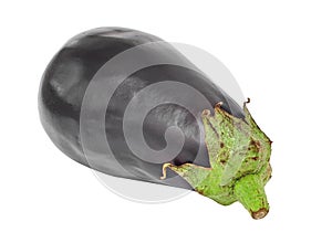 Aubergine