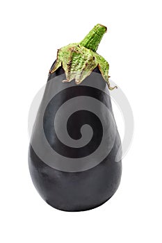 Aubergine