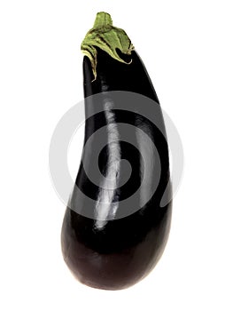 Aubergine