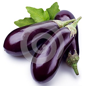 Aubergine photo