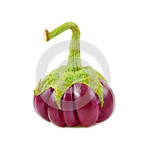 Aubergine isolated on white background