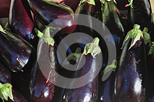 aubergine vegetables food