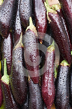 Aubergine with waterdrops