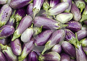 Aubergines