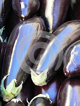 Aubergines