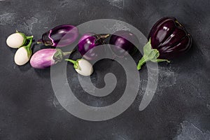 Aubergines or  eggplants of different shapes and colors on dark grey background, top view, copy space