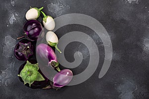 Aubergines or eggplants of different shapes and colors on dark grey background, top view, copy space