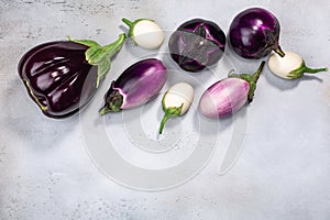 Aubergines or eggplants of different shapes and colors on light grey background, top view, copy space