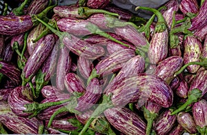 Aubergines on sale at a market stall