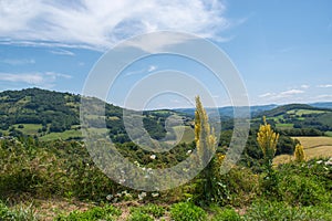 Landscape of the Aubrac plateau, Aveyron, France photo