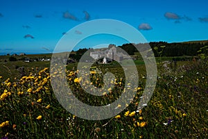 Aubrac village ,a stage on the compostelle walk or saint James way, with wild flowers in foreground