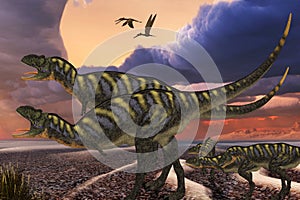 Aucasarus Dinosaurs