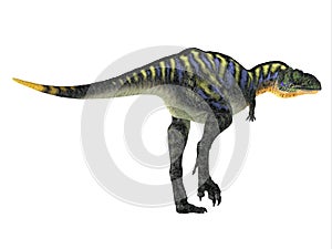 Aucasaurus Dinosaur Tail