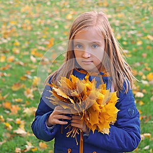 Ð¡aucasian little blonde girl holding yellowed maple leaves