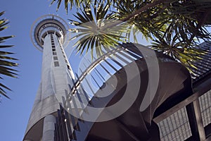 Aucklamd Skytower