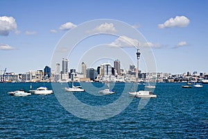 Auckland City CBD with boats photo