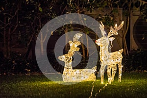 Auckland city decorations