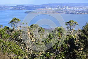 Auckland city skyline from Rangitoto Island New Zealand