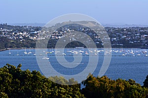 Auckland Cityscape - Mission Bay