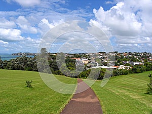 Auckland Grassland