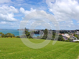 Auckland Grassland