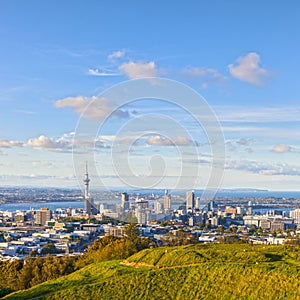 Auckland from Mount Eden