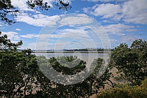 Auckland harbour and bridge from point chevalier