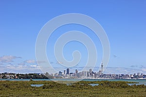 Aucklands skyline on a sunny day