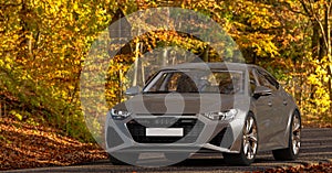 Audi RS7 Sportback on autumn road