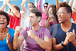 Audience Cheering At Outdoor Concert Performance