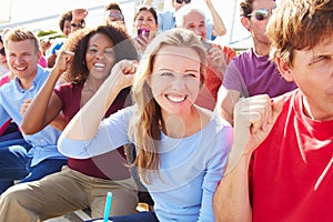 Audience Cheering At Outdoor Concert Performance