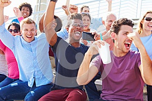 Audience Cheering At Outdoor Concert Performance