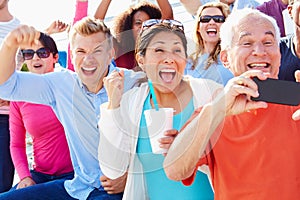 Audience Cheering At Outdoor Concert Performance