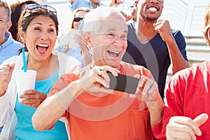 Audience Cheering At Outdoor Concert Performance