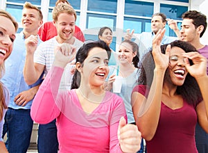 Audience Dancing At Outdoor Concert Performance