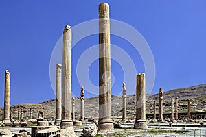 Audience Hall or apadana of Darius and Xerxes, Persepolis, Iran.