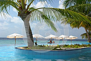 Audience in the pool