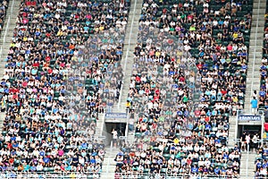 Audience in the stands