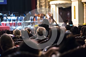 Audience watching concert show in the theater