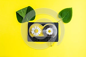 Audio cassette with chamomile flowers and green tree