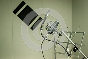 Audio Condenser Microphone for Sound Recording. Professional studio equpment. Pop filter.