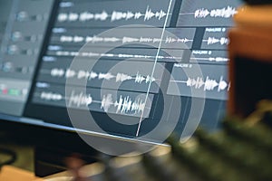 Audio graph available on the monitor screen during recording