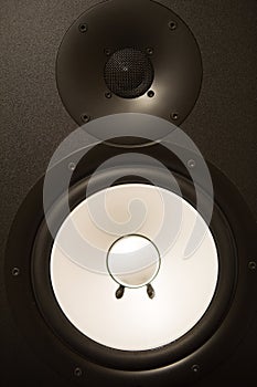 Audio Speaker Cone