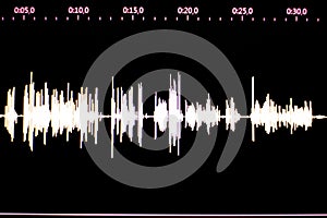 Estudio voz registro sonido ola 