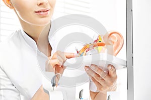 Audiologist, model of the ear.